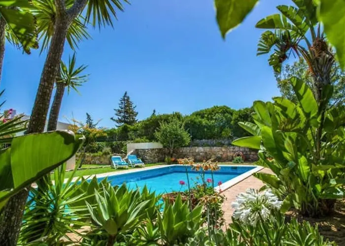 Amazing In Villa